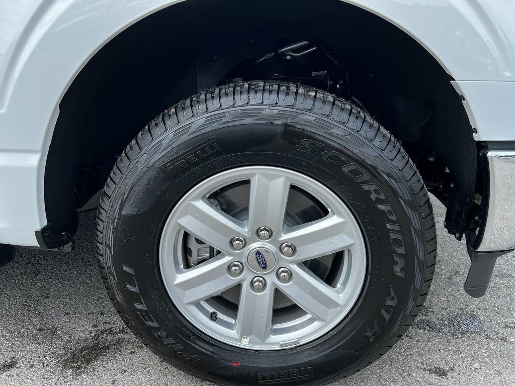 2025 Ford F-150 XL - Photo 3