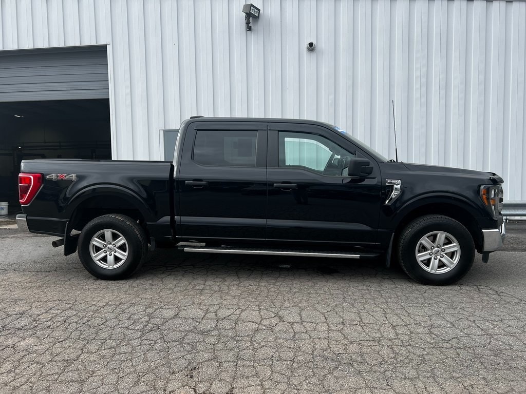 Used 2023 Ford F-150 XLT with VIN 1FTFW1E82PFA35160 for sale in Oakland, MD