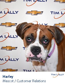 Staff member Harley from ID_edfb1d77a9c5