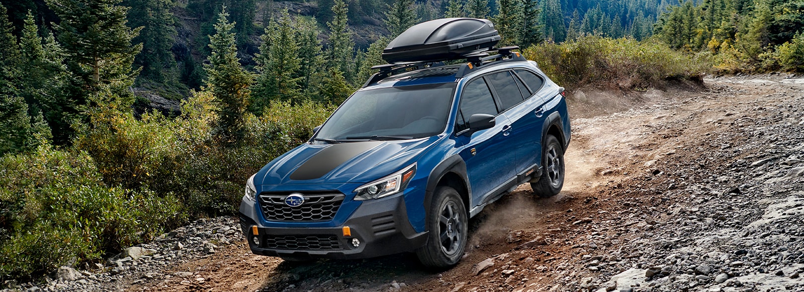 2022 Subaru Outback Wilderness - Timmons of Long Beach