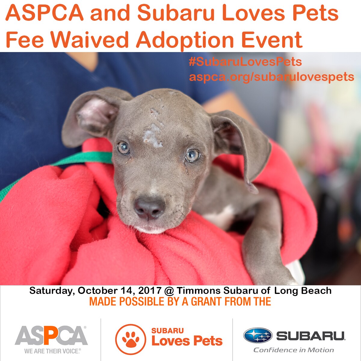 Visit Timmons Subaru For The Aspca And Subaru Loves Pets Fee Waived Adoption Event Timmons Subaru