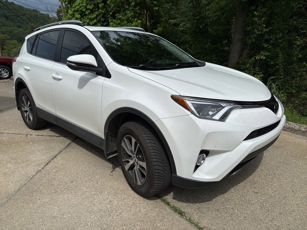 2018 Toyota RAV4 XLE photo 3