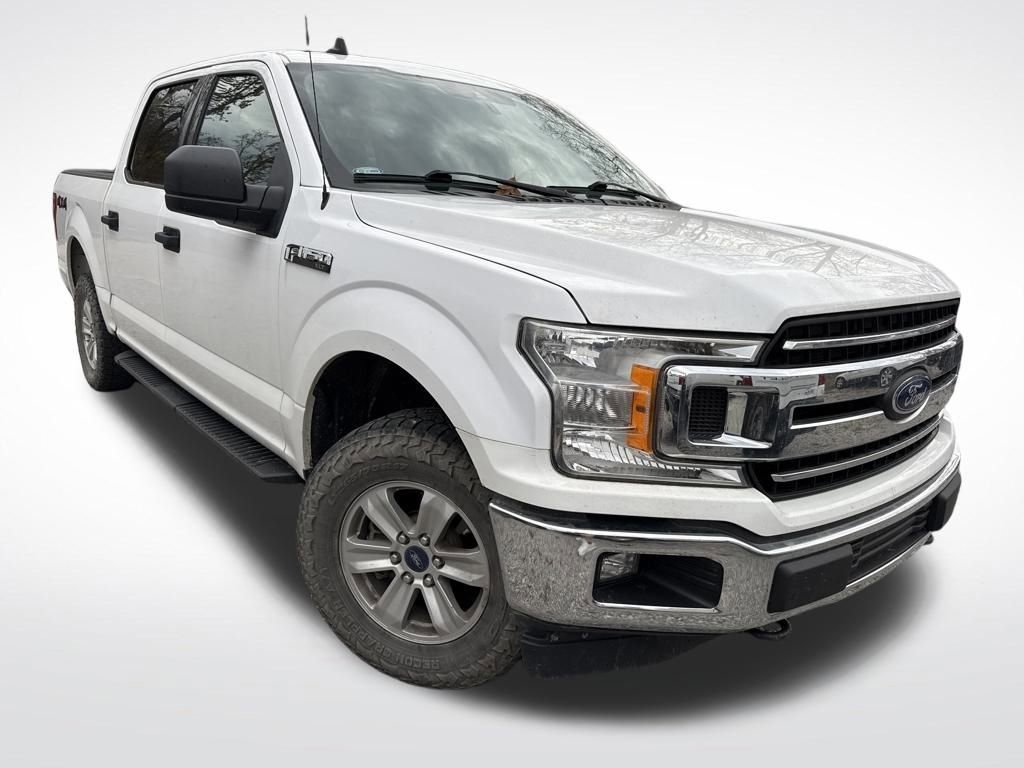 2019 Ford F-150 XL photo 3