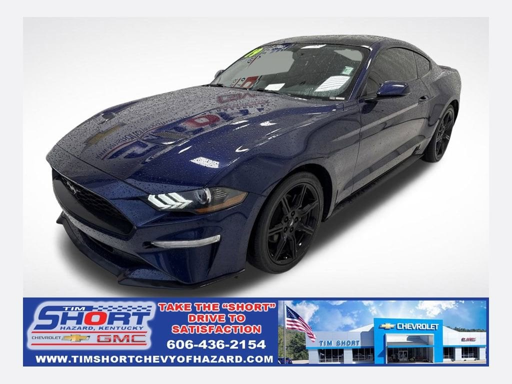 2019 Ford Mustang EcoBoost's photo