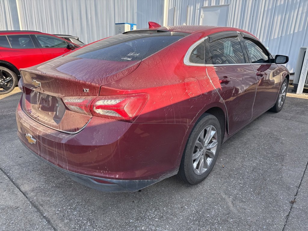 2020 Chevrolet Malibu 1LT photo 4