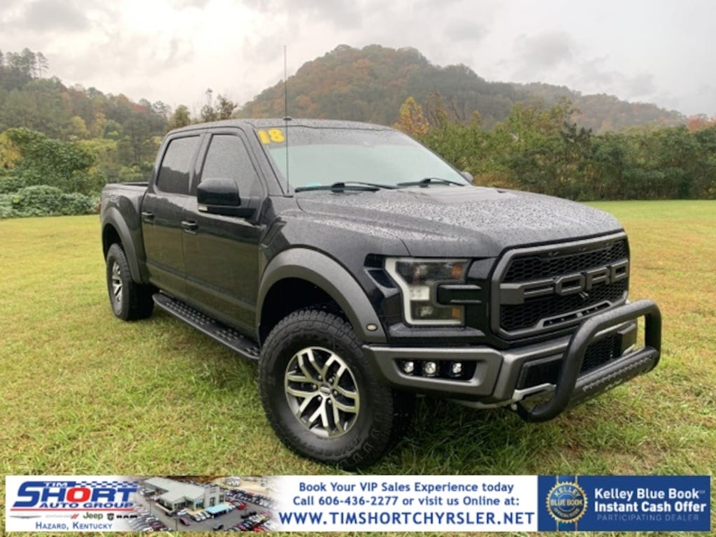 Used 2018 Ford F150 For Sale at Tim Short Used of Whitesburg VIN