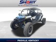  Polaris RZR