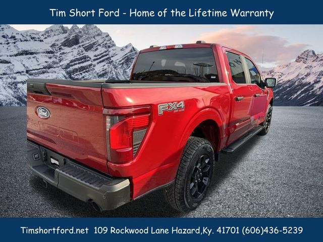 2025 Ford F-150 STX photo 4
