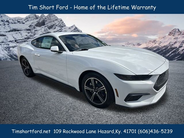 2025 Ford Mustang EcoBoost Premium photo 3