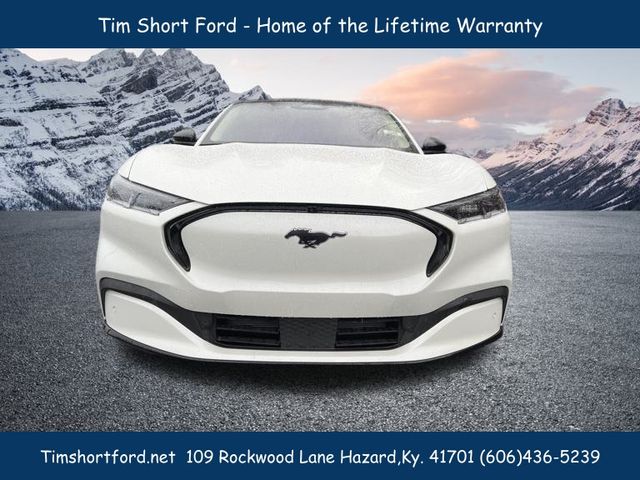 2022 Ford Mustang Mach-E Premium photo 2