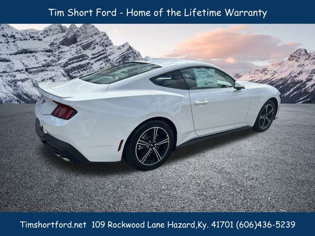 2025 Ford Mustang EcoBoost Premium photo 4