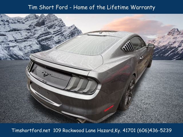 2019 Ford Mustang EcoBoost photo 3