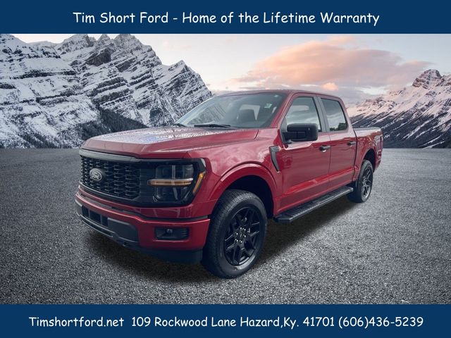 2025 Ford F-150 STX's photo