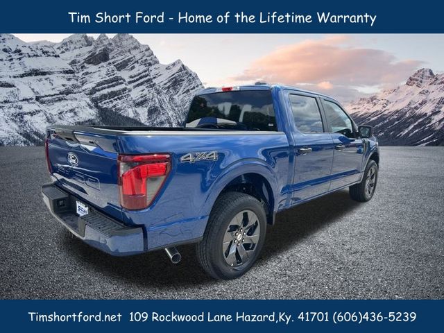 2025 Ford F-150 STX photo 3