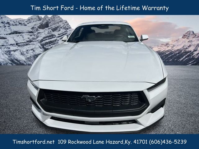 2025 Ford Mustang EcoBoost Premium photo 2