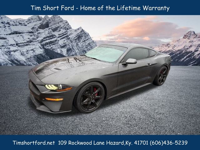 2019 Ford Mustang EcoBoost's photo