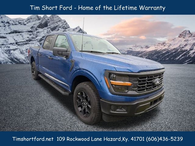 2025 Ford F-150 STX's photo