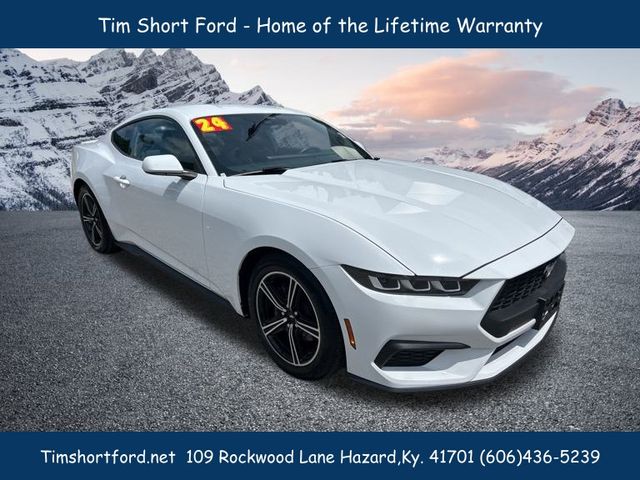 2024 Ford Mustang EcoBoost Premium photo 3