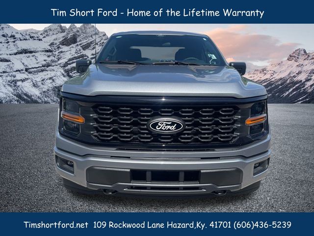 2025 Ford F-150 STX photo 2