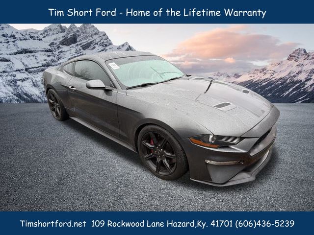 2019 Ford Mustang EcoBoost photo 2