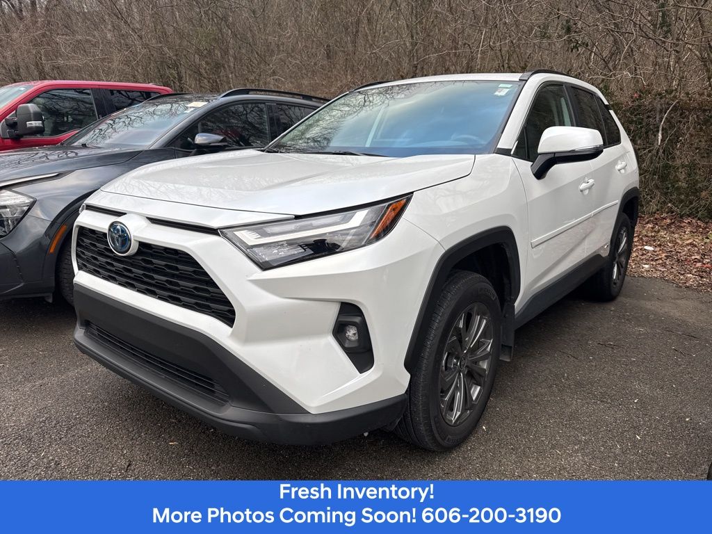 2024 Toyota RAV4 XLE Premium's photo