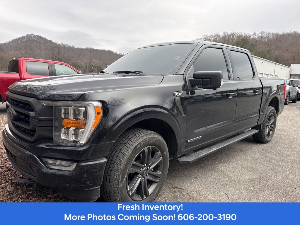 2023 Ford F-150 XLT's photo