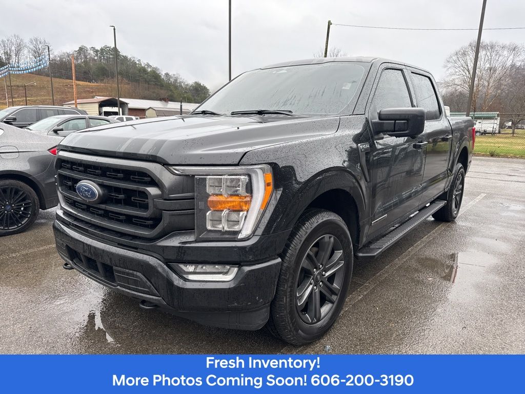 2023 Ford F-150 XLT's photo