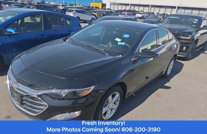 2024 Chevrolet Malibu 1LT's photo