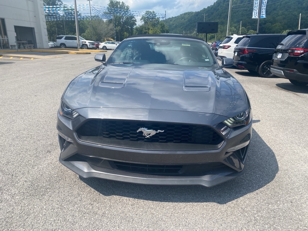 Used 2022 Ford Mustang EcoBoost Premium with VIN 1FATP8UH6N5115516 for sale in Ivel, KY