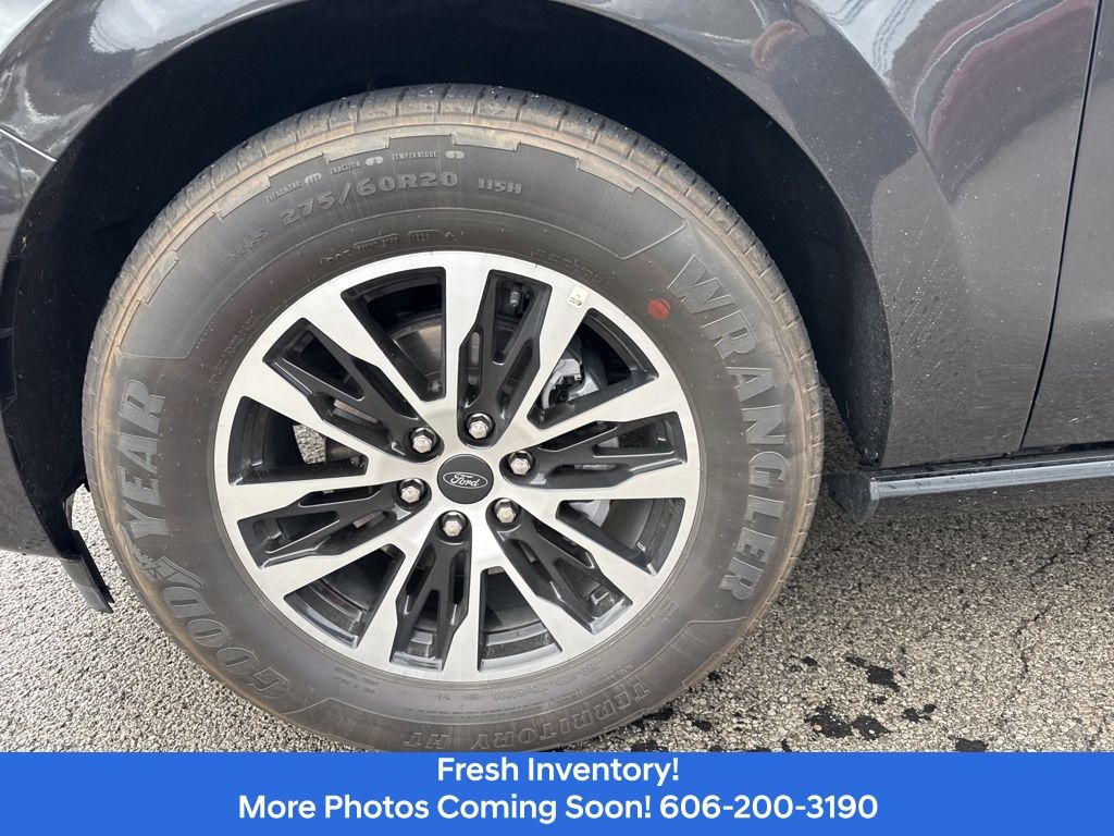 2025 Ford Expedition Platinum - Photo 10