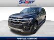 Used 2022 Ford Expedition Max Limited SUV
