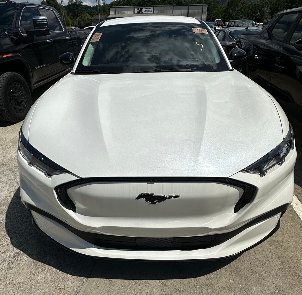 Used 2024 Ford Mustang Mach-E Premium RWD with VIN 3FMTK3R41RMA10525 for sale in Pikeville, KY