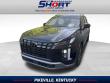 Used 2024 Hyundai Palisade SEL SUV