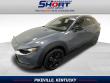 Used 2025 Mazda CX-30 2.5 S Carbon Edition SUV