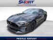 Used 2022 Ford Mustang  Coupe