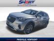 Used 2018 Hyundai Santa Fe SE SUV