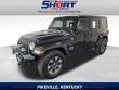 Used 2018 Jeep Wrangler Unlimited Sahara 4x4 SUV
