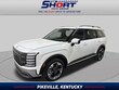  Hyundai Palisade Hybrid
