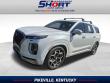 Used 2022 Hyundai Palisade Calligraphy SUV