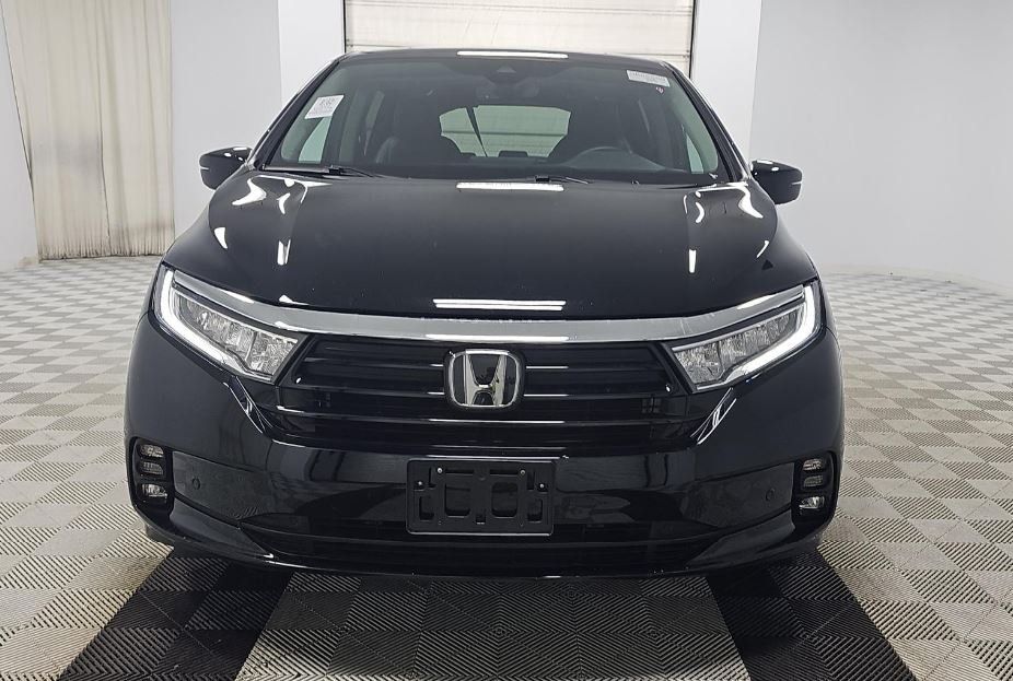 Used 2024 Honda Odyssey Touring with VIN 5FNRL6H89RB006289 for sale in Pikeville, KY