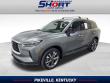 Used 2023 INFINITI QX60 LUXE SUV