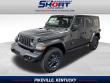 New 2026 Jeep Wrangler 85th Anniversary SUV