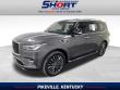 Used 2023 INFINITI QX80 LUXE SUV