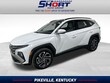  Hyundai Tucson Hybrid