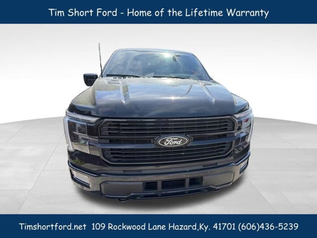 Used 2025 Ford F-150 Platinum Crew Cab Truck
