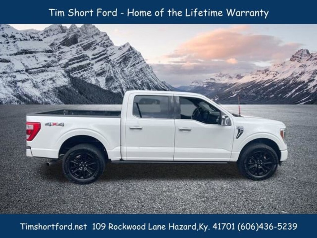 Used 2023 Ford F-150 Platinum Crew Cab Truck