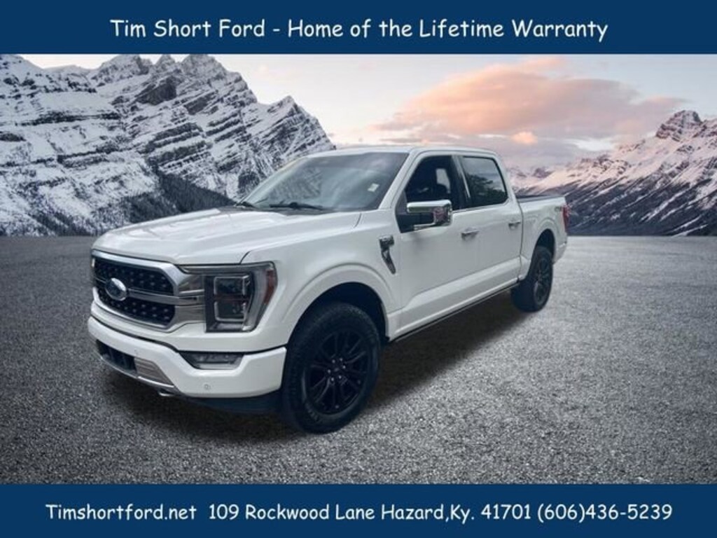 Used 2023 Ford F-150 Platinum Crew Cab Truck
