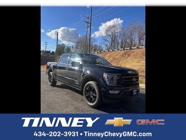 2023 Ford F-150 Platinum's photo