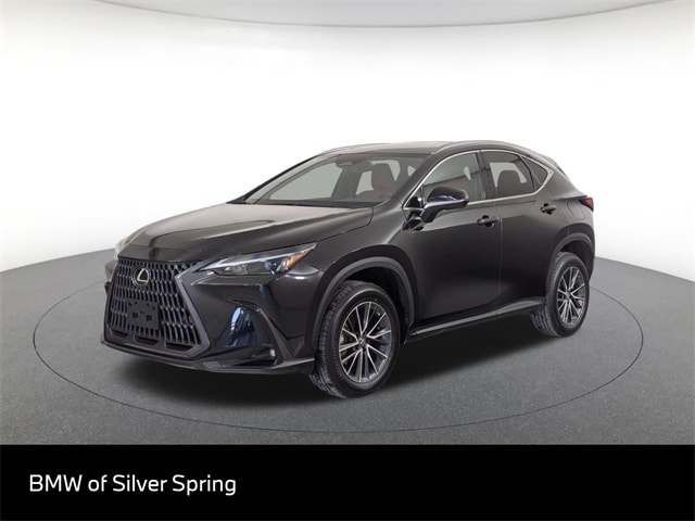 2023 Lexus NX Base's photo