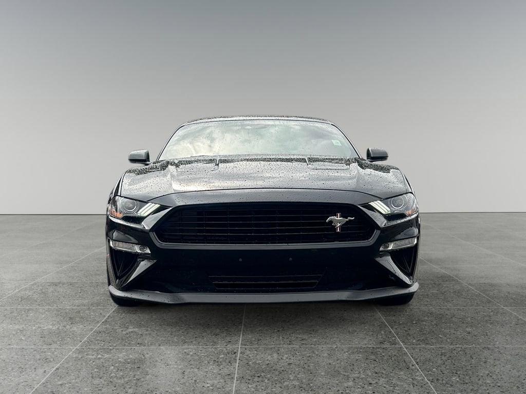 Used 2019 Ford Mustang GT Premium with VIN 1FA6P8CF6K5158276 for sale in Tacoma, WA